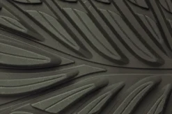 Ranidae><noscript><img width=