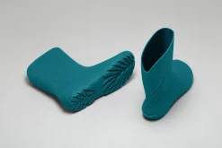 Ranidae><noscript><img width=