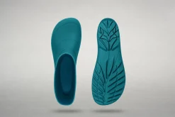 Ranidae><noscript><img width=