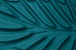 Ranidae><noscript><img width=