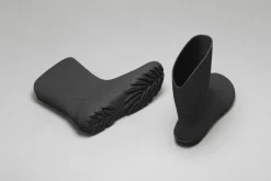 Ranidae><noscript><img width=