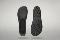 Ranidae><noscript><img width=