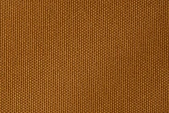 Robulo camel><noscript><img width=