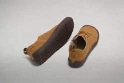 Robulo camel><noscript><img width=