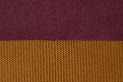 Robulo camel><noscript><img width=