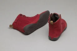 Rotkap><noscript><img width=