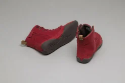 Rotkap><noscript><img width=