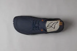 Tanuki><noscript><img width=