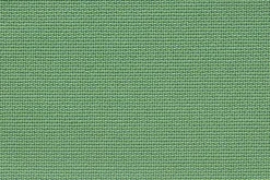 Tanuki><noscript><img width=