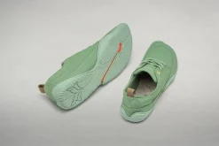 Tanuki><noscript><img width=