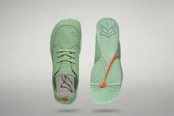 Tanuki><noscript><img width=