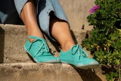 Tanuki><noscript><img width=