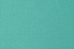 Tanuki><noscript><img width=