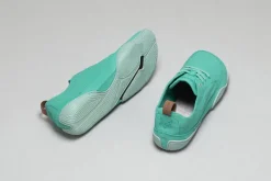 Tanuki><noscript><img width=