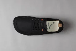 Tanuki><noscript><img width=