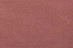 Tanuki><noscript><img width=