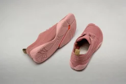 Tanuki><noscript><img width=