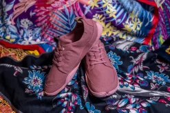 Tanuki><noscript><img width=