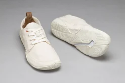 Tanuki><noscript><img width=