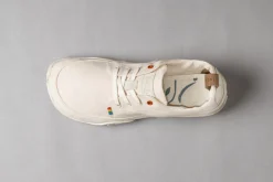 Tanuki><noscript><img width=