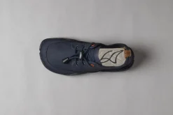 Tanuki><noscript><img width=