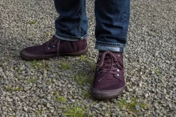 Tejo><noscript><img width=