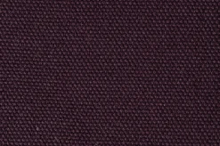 Tejo><noscript><img width=