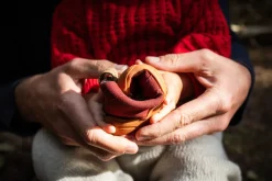 Tejo>Wildling Shoes Outlet