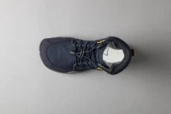 Trica night sky><noscript><img width=