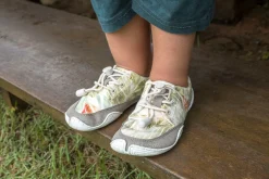 Vena><noscript><img width=