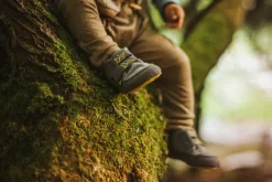 Xeleb><noscript><img width=