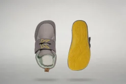 Xeleb><noscript><img width=