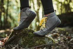 Xeleb><noscript><img width=