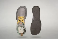 Xeleb><noscript><img width=